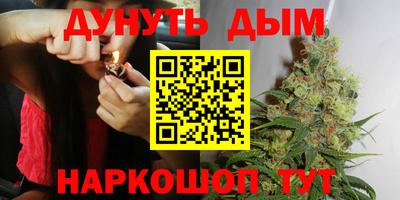 гашик Донецк