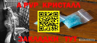 гашик Донецк